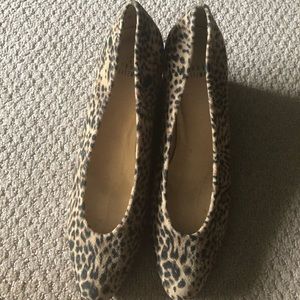 Stuart Weitzman Leopard Shoes